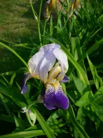 DSCI4078.webp