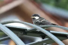 DSCF6233.webp