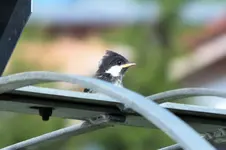 DSCF6236 (2).webp