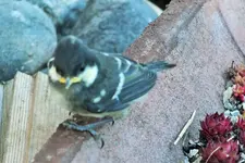 DSCF6249 (2).webp