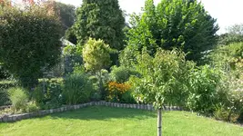 20150821_161323.webp