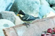 DSCF6250 (2).webp