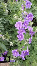 mischfotos 011.webp