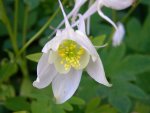 DSCN6279.jpg