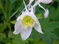 DSCN6279.webp