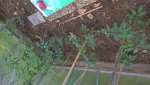 WP_20160607_09_02_47_Pro.jpg