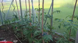 WP_20160607_10_14_22_Pro.jpg