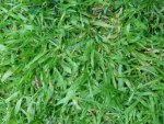 20160528_210850.jpg