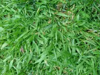 20160528_210850.webp
