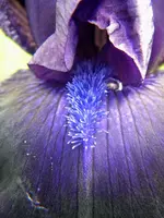 DSCN0218.webp