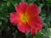 012.webp