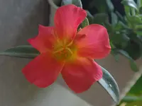 015.webp