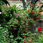 IMG_0843-001.webp