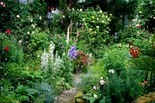 IMG_0908.webp