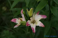 comp_DSC05030.webp