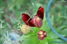 comp_DSC05031.webp