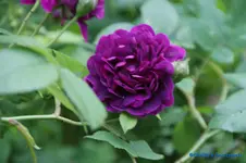 comp_DSC05038.webp