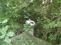 BILD5132.webp