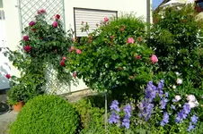 2016_06073april20160032.webp