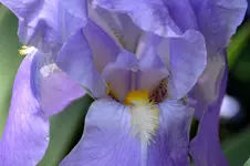 DSC_2916.webp