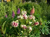 076.webp
