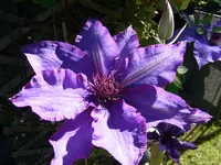 010.webp
