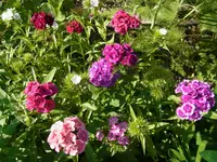 013.webp
