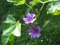 BILD5130.webp