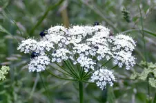DSC_3180.jpg