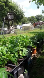 mischfotos 018.webp