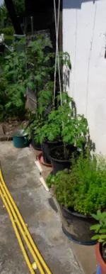mischfotos 028.webp