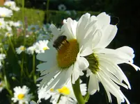027.webp
