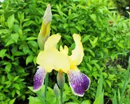 DSCF6187 (3).webp