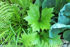 DSCF6268 (2).webp