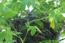 DSCF6273.webp