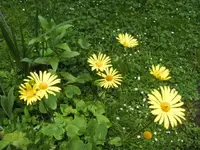 BILD5081.webp