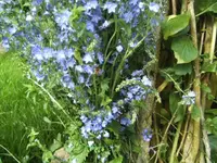BILD5098.webp