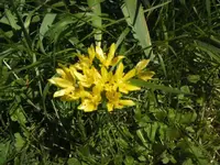 BILD5112.webp