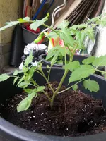 2016-06-08 12.01.41.webp