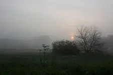 BS 160608_6.webp