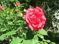 020.webp