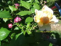 023.webp