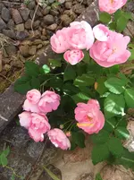 024.webp