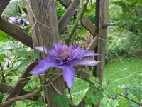 004.webp