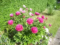100_2011.jpg