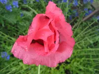 020.webp