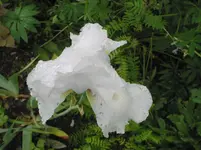 018.webp