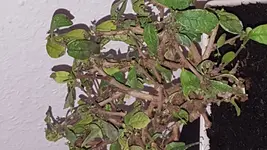 20160608_131843.webp