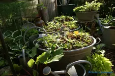 comp_DSC05049.webp