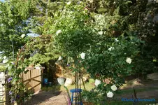 comp_DSC05048.webp
